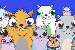 Cryptokitties clone